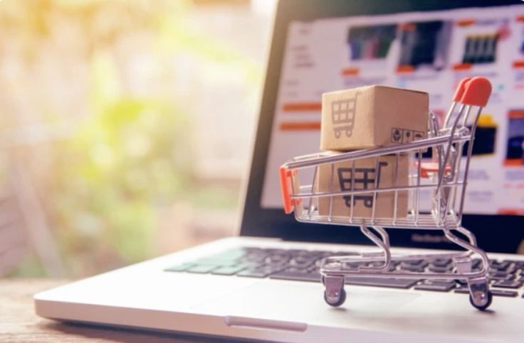 Professional Pakistani e-commerce developers working on online store design and UI layout